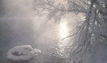 寂寞之美在其中