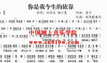 明天，我将成为您的依靠