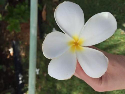 生活是如此美好
