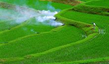 春日融融润家乡