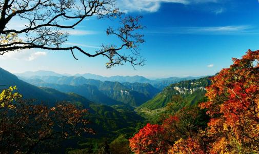 我美丽的神农架
