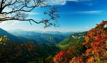 我美丽的神农架