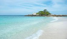 我终于见到了大海