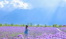 走过四季只爱你