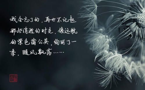 逝世也很美丽