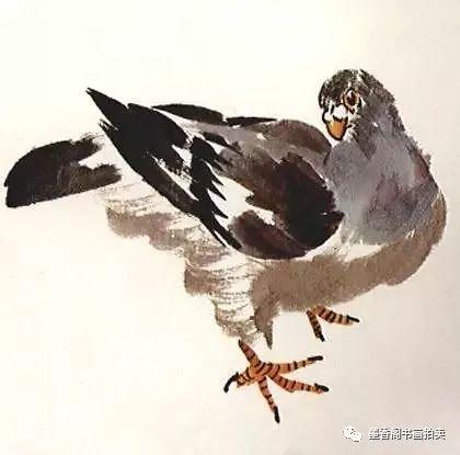 我为鸽子流下了眼泪