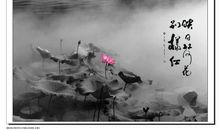 历史无须“看客”