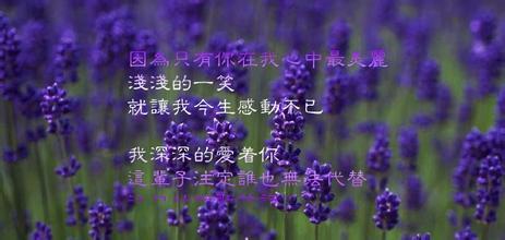 勿忘我_200字