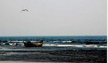 我愿化作一只纸船