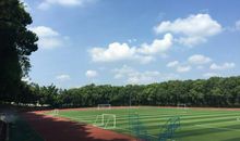 二十年后的母校