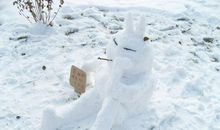 行走在雪地上的亲情