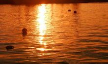 家，人生的港湾