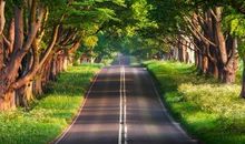 发现生活中的美好