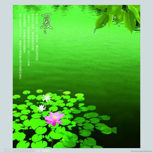 夏天的雨真好