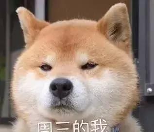 今天我的狗怎么了？