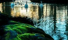 那个浪漫的朝代