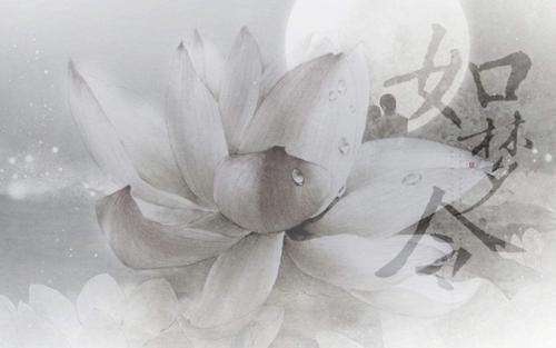 改写【似梦境】_400字