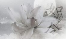 改写【如梦令】_400字