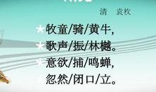 踏着诗歌的节拍成长