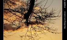 爱在心中静静流淌