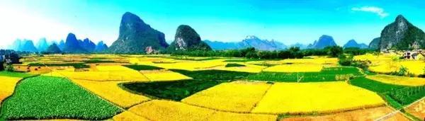 春天一岁