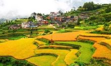 好习惯是一道风景