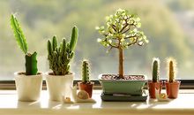 几分甜蜜在心头