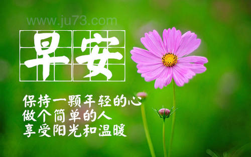 做一个简单的人