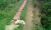 曲曲折折来时路