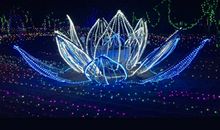 我的灯光艺术节