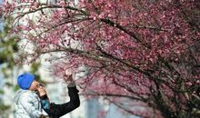 多一些冬天的暗香