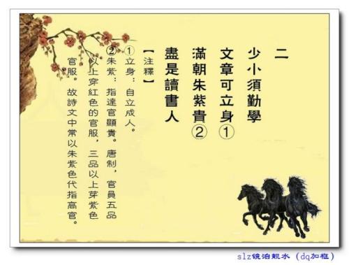 诗歌-一种文化瑰宝