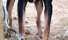 第一次自己看家