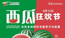 那万花丛中的一点绿_400字