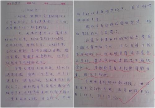 揭露我们班上的伟人
