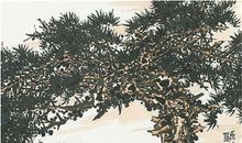 一棵苍松的文化