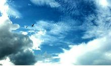 让梦插上理想的翅膀