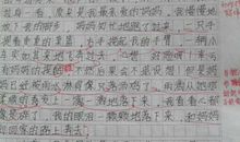 妈妈，我想对您说……