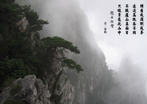 只有在这座山上