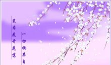 梦中花开花落（4）_100字
