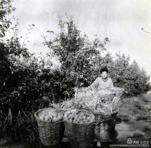 无法删除的记忆