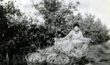 无法抹去的记忆