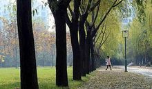 校园的早晨_300字