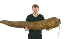 我印象深刻的一件事