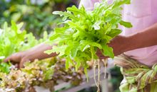 我是“园丁”的“收获”