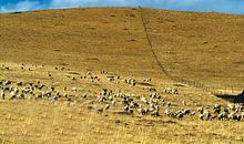 寻找真正的友情