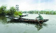 纵然风雨亦前行