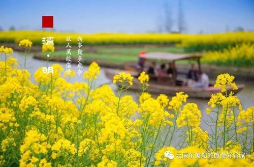 世界上最美丽的