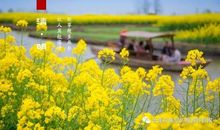 最美人间四月天