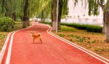 人生路上的每一步